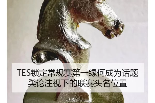 suo-ding-chang-gui-sai-di-yi-yuan-he-cheng-wei-hua-ti-yu-lun-zhu-shi-xia-de-lian-sai-tou-ming-wei-zhi-2-385.jpg